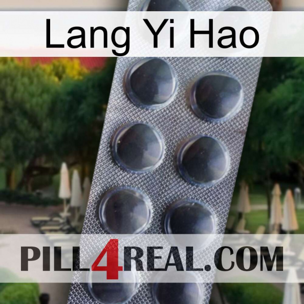 Lang Yi Hao 30.jpg